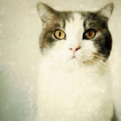 Foto von Just Martin