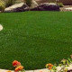Payless Landscape & Irrigation Services, LLC