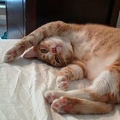 Klint Cowan's photo