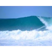 Nick Alexanders foto