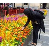 Safa Ibrahim's photo