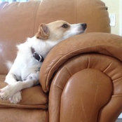 Lisa C's photo