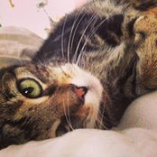 Lauren Klemp's photo