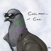 Michael Clounch's photo