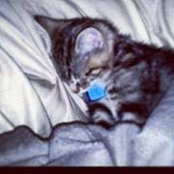 Brittney Kastberg's photo