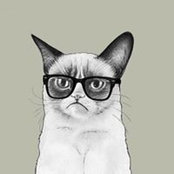 Nicholas Bishop's photo