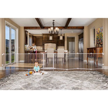 cat gates