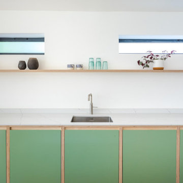 The Chapman Kitchen - Exposed Edge Plywood