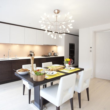 Contemporary Kitchens