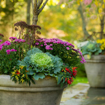 Fall