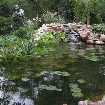 Koi Ponds and Water Gardens