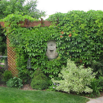 Privacy Screens