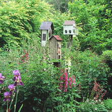 landscape ideas for a wooded backyard