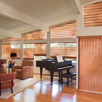 Hunter Douglas Roman Shades