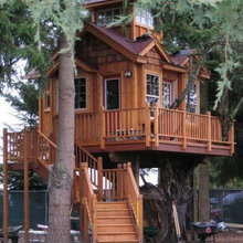 Backyard - Treehouse