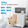 Costway 26lbs Portable Semi-automatic Washing Machine Built-in Drain Pump Grey