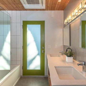 Desert Eichler #2