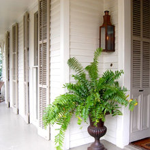 potted plants/containers