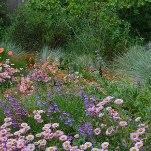 Mittelgroßer, Halbschattiger Eklektischer Garten hinter dem Haus, im Frühling mit Natursteinplatten in San Francisco