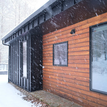 Dancing in the snow
