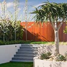 Roof terrace & garden