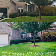 EzScapes