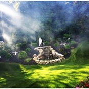 Zina Sawa's photo