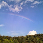 Tim Woodward's photo
