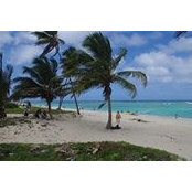 Stephanie Wideman-Poechman's photo