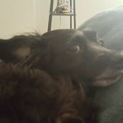 Nicholas Goddard's photo