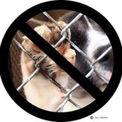 Diane Lynch's photo