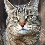 Jan Griffiths's photo