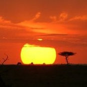 Beth Rolfsen's photo