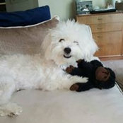 Nina Schenker's photo