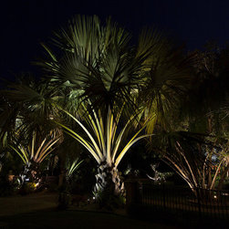 Outdoor Lighting - Outdoor Lighting