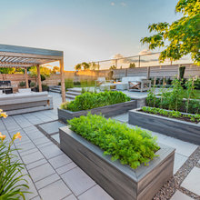 Pergolas and Backyard