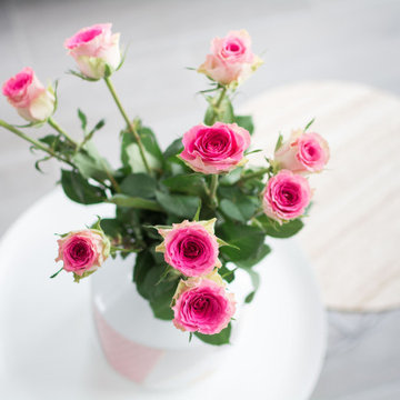 Boudoir cocooning Rose