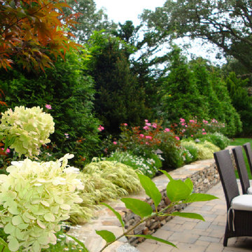 Chestnut Hill