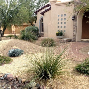 Southwestern Plants