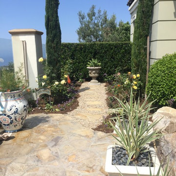 Bromeliad Corner