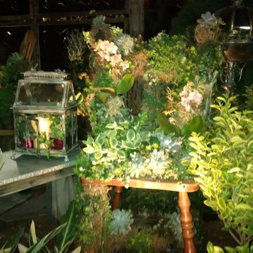 Canada Blooms 2016