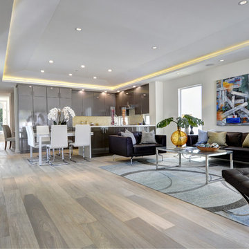 Modern House