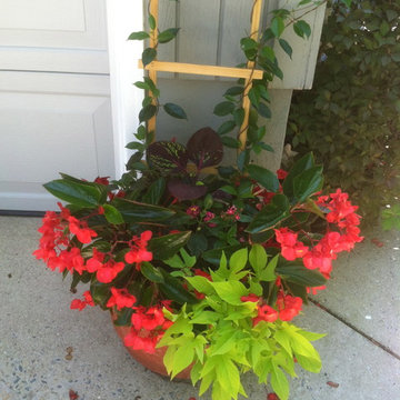 Container Gardens