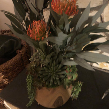 Custom Succulent Arrangements