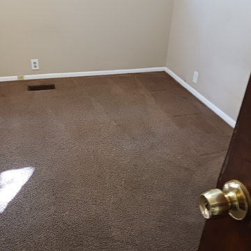 Carpet Cleaning