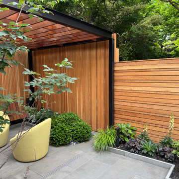 Carroll Gardens Modern