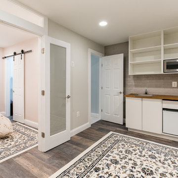 Kitchen and Basement reno in Georgetown