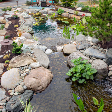Waterfall and Koi Pond