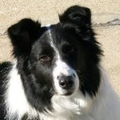 Pam Meisner's photo