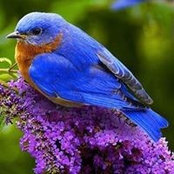 Joanne Bequeath's photo